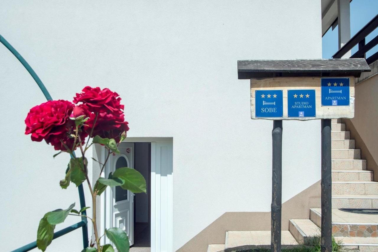 Apartments Vesna スルニュ エクステリア 写真