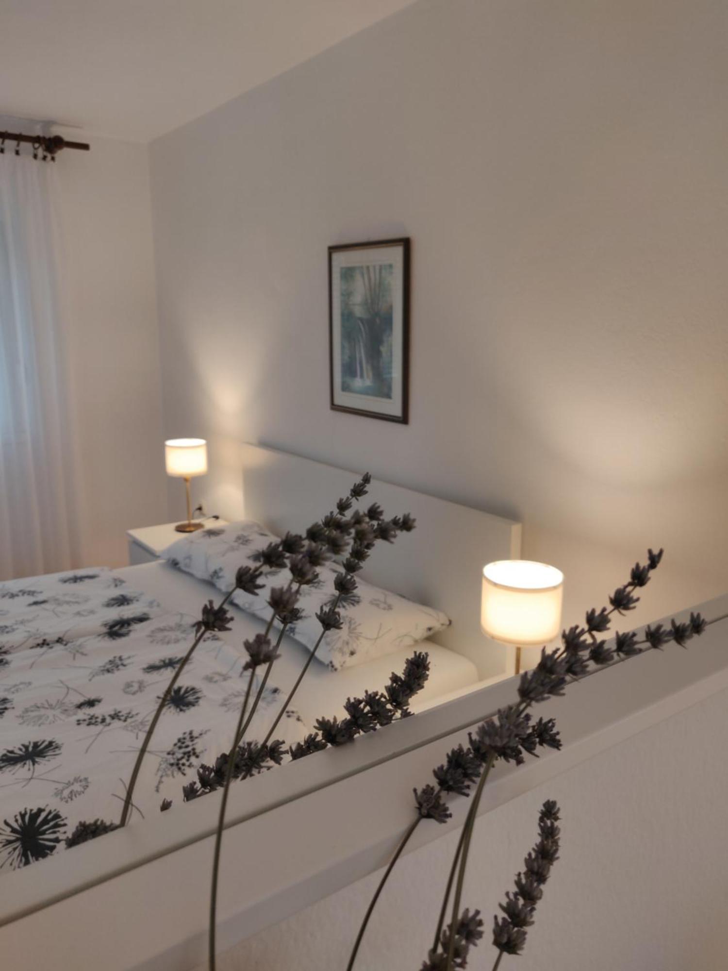 Apartments Vesna スルニュ エクステリア 写真